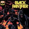 Black Panther (2021) #8 (Variant)