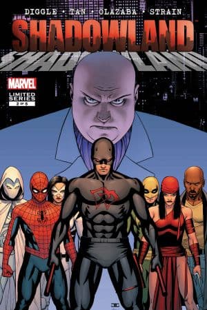 Shadowland (2010) #2