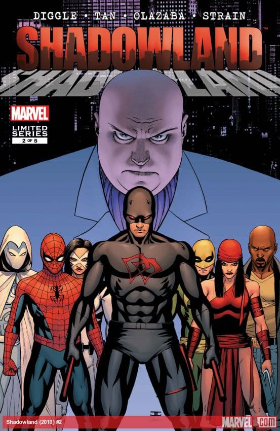 Shadowland (2010) #2
