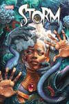 Storm (2024) #2 cover
