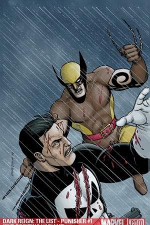 Dark Reign: The List - Punisher (2009)