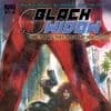 BLACK WIDOW: THE THINGS THEY SAY ABOUT HER TPB (2006)