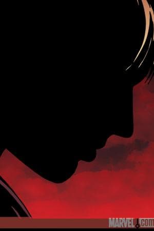 Powers (2004) #25 (Variant)