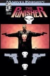 Punisher Vol. 4: Full Auto (Trade Paperback) cover