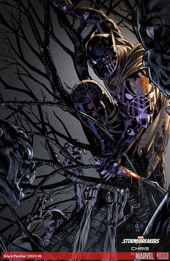 Black Panther (2023) #5 (Variant)