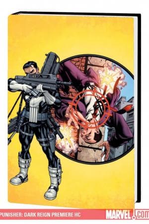 Punisher: Dark Reign (2009 - Present)