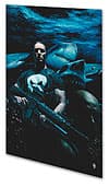 Punisher Max Vol. 6: Barracuda (Trade Paperback) cover