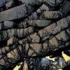 X-Force (2008) #28 (FINCH VARIANT)