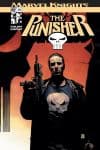 Punisher (2001) #21 cover