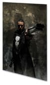 Punisher Max Vol. 9: Long Cold Dark (Trade Paperback) cover