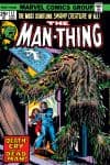 Man-Thing (1974) #12 cover