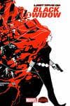 Black Widow (2014) #20 cover