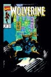 Wolverine (1988) #24 cover