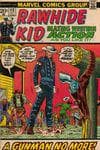 Rawhide Kid (1955) #113 cover
