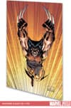 WOLVERINE CLASSIC (Trade Paperback) cover