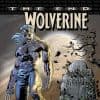 Wolverine: The End (2005)