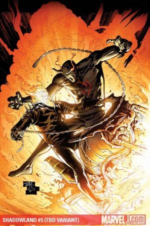 Shadowland (2010) #5 (TAN VARIANT)