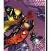 ASTONISHING SPIDER-MAN & WOLVERINE TPB (Trade Paperback)