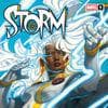 Storm (2024) #5 (Variant)