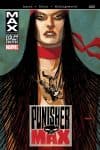 Punishermax (2010) #20 cover