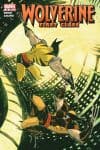 Wolverine: First Class (2008) #20 cover
