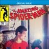 The Amazing Spider-Man (1963) #262