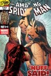 Amazing Spider-Man (1999) #545 cover