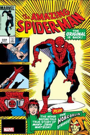 AMAZING SPIDER-MAN FACSIMILE EDITION (2024) #262