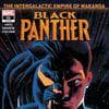 Black Panther (2018) #21