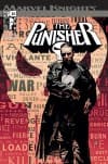 Punisher (2001) #22 cover