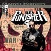 Punisher (2001) #22
