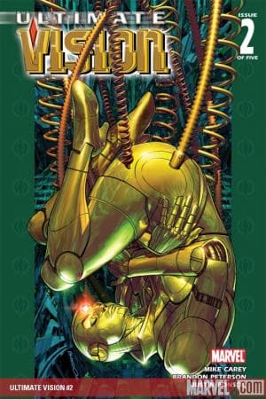Ultimate Vision (2006) #2