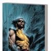 Wolverine: Blood Wedding (Trade Paperback)