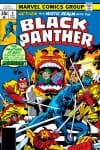 Black Panther (1977) #6 cover