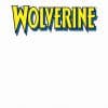 Wolverine (2010) #1 (BLANK COVER VARIANT)
