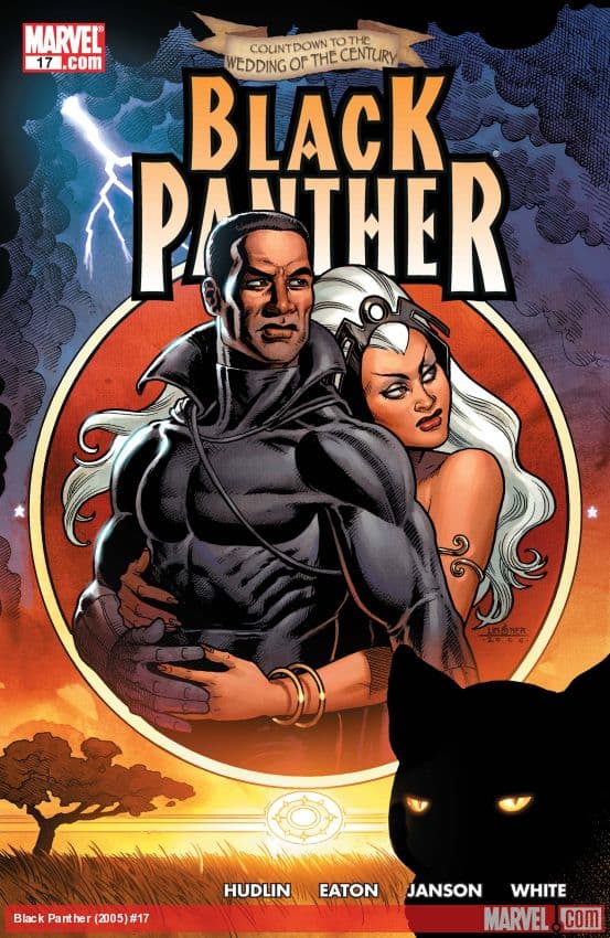 Black Panther (2005) #17