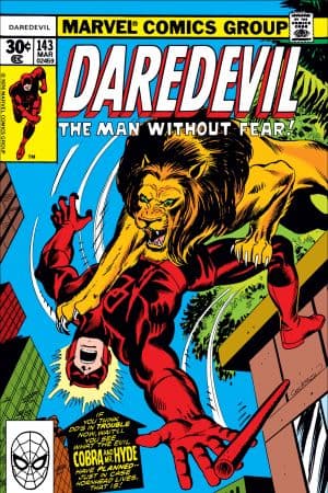 Daredevil (1964) #143
