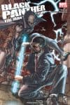 Black Panther: The Man Without Fear (2010) #518 cover