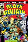 Black Goliath (1976) #5 cover