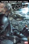 Black Panther: The Man Without Fear (2010) #520 cover