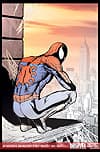 Spider-Man: Swing Shift Director's Cut (2008) #1 cover