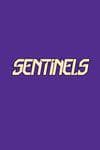 Sentinels (2024) #1 (Variant) cover