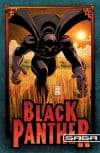 Black Panther Saga (2008) #1 cover