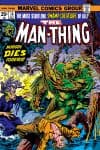 Man-Thing (1974) #10 cover