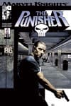 Punisher (2001) #9 cover