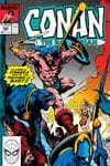 Conan the Barbarian (1970) #226 cover
