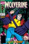 Wolverine (1988) #26 cover