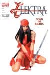 Elektra (2001) #28 cover