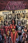 New Avengers: Most Wanted Files (2005) #1 cover