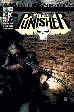 Punisher (2001) #36